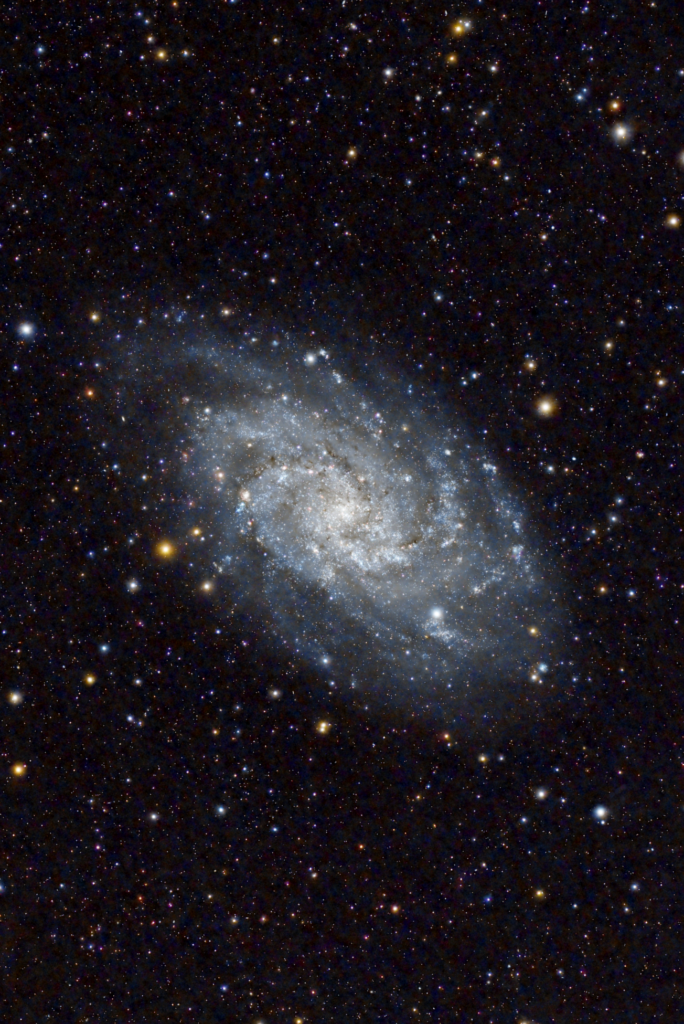 Galaxie M33, aussi appelée galaxie du Triangle. Située dans une position symétrique de M31 par rapport à la ligne droite de la constellation d’Andromède, cette photographie a été prise par Pierre Drum en novembre 2025. Matériaux utilisés : Lunette Askar FR 400, autoguidée (logiciel Asiair), équipée d’une caméra refroidie ZWO ASI 2600 MC et d’un filtre Optplong L Pro.